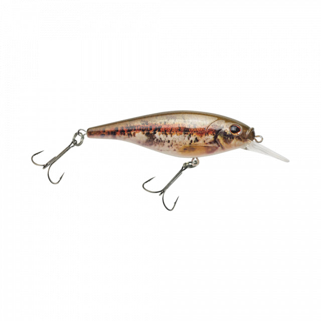 Flicker Shad Shallow | 2/7 oz | 2 3/4in | 7cm | 6 | 3'-6' | 1m-2m | Model #FFSH7S-HDBND