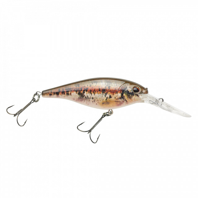 Flicker Shad | 5/16 oz | 2 3/4in | 7cm | 6 | 11'-13' | 3.4m-4.0m | Model #FFSH7M-HDBND