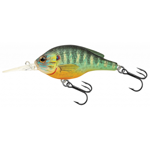 Pumpkinseed Crankbait